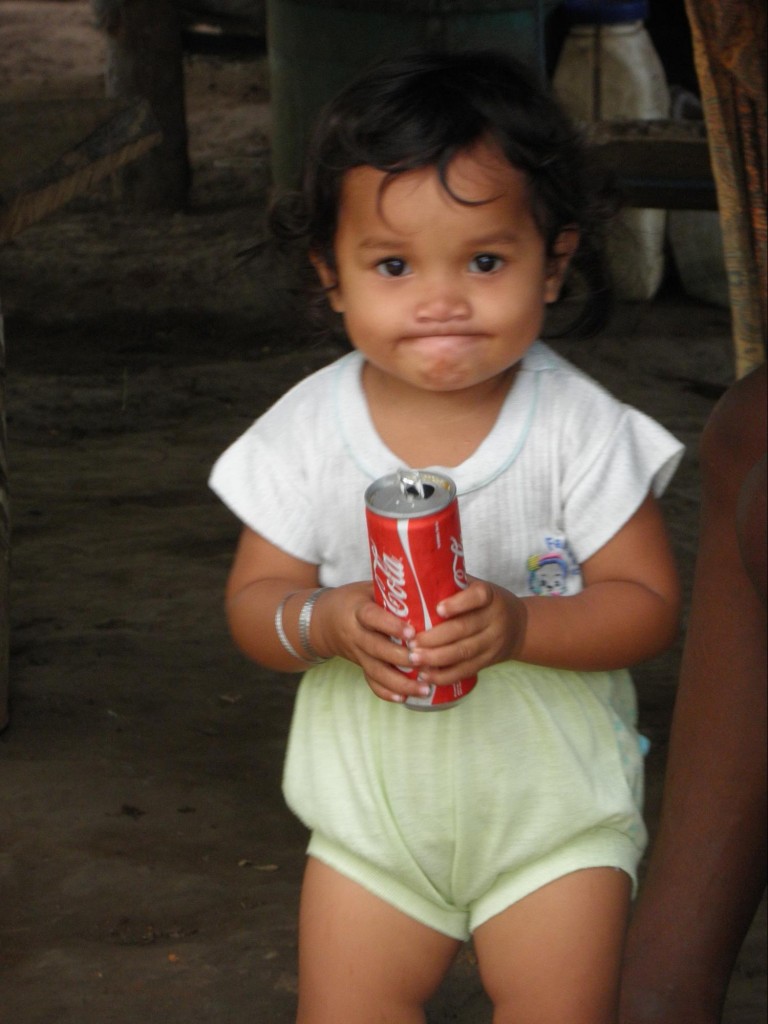 インドネシア ハルマヘラ島に「世界最強の淡水魚」パプアンバスを求めて Monsters Pro Shop