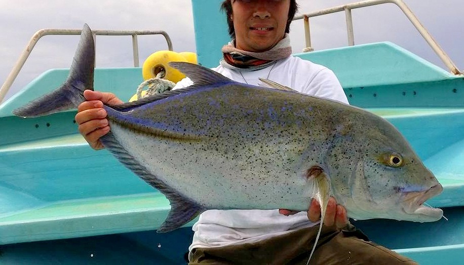 シガテラ 海水 魚 バラハタ