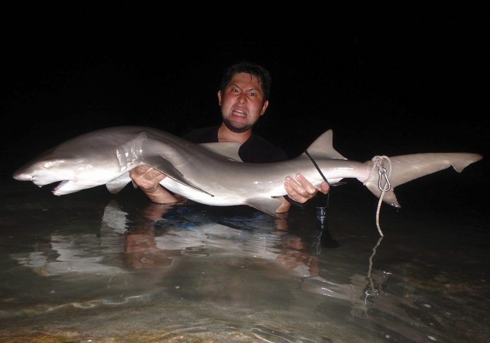 サメに釣り竿を奪われたが どうにか意地と根性で釣り上げた話 沖縄県 Monsters Pro Shop