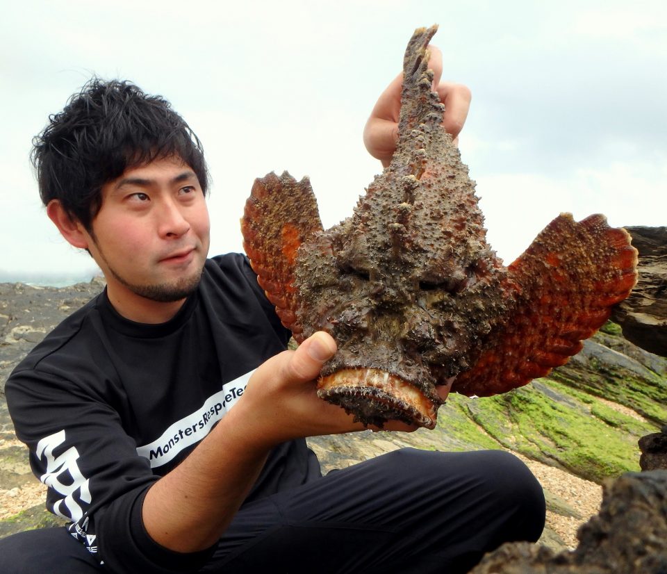 猛毒魚 オニダルマオコゼ を素手で捕まえて食べる 沖縄県 Monsters Pro Shop