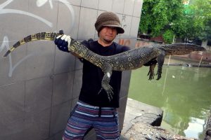 バンコク市内の水路で捕獲された個体