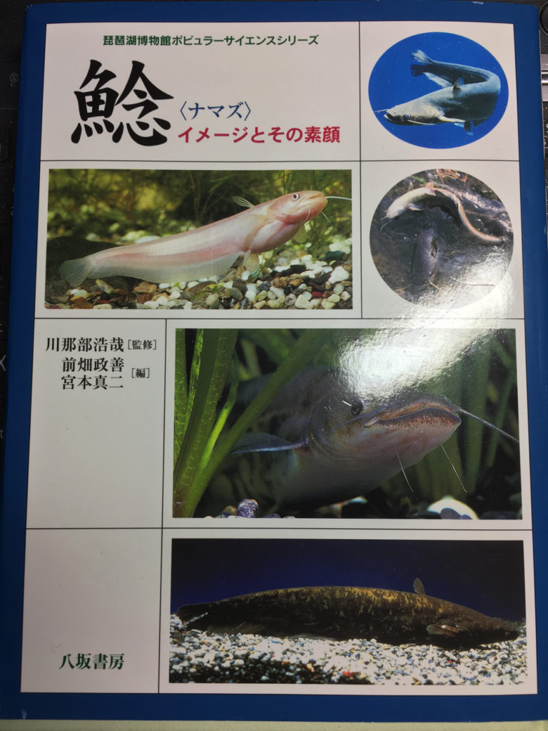 新種ナマズ タニガワナマズ 仮称 は日本で4種目となるのか 図鑑に載っていないナマズを追った日々 Monsters Pro Shop