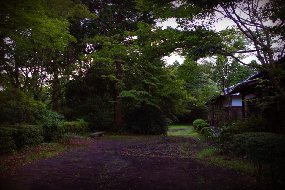 富士山麓に眠る人魚の謎を追った。（静岡県富士市） Monsters Pro Shop