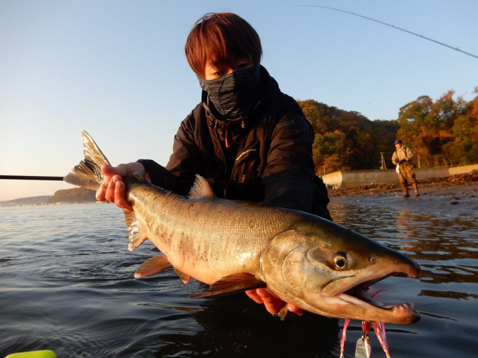 北海道の秋は釣りの秋 大学生の釣行記録 Monsters Pro Shop