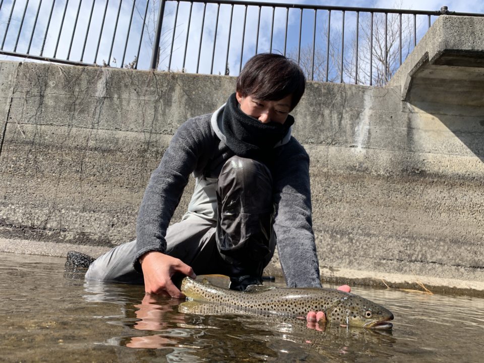 ブラウントラウトを掬って(すくって)食べてみた。(長野県)